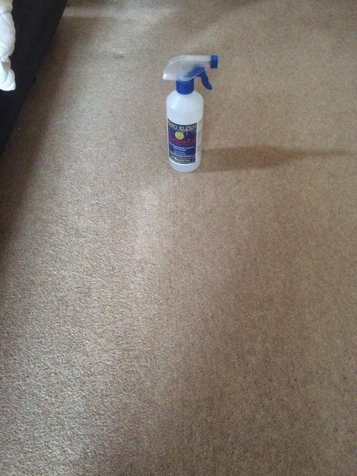 King Kleen Carpet Cleaner On Clean Carpet