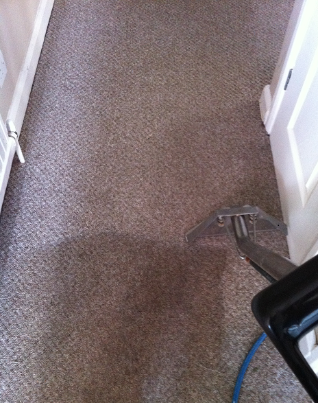 Hall Carpet Being Cleaned SHowing The Difference